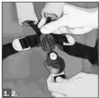 Teutonia Bliss - Uso della cintura di sicurezza a 5 puntI - 1