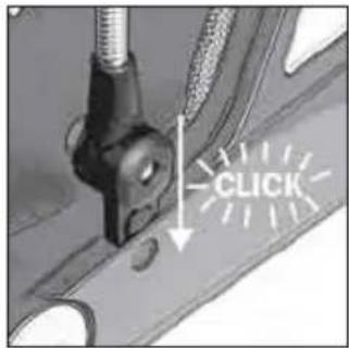 Teutonia Bliss - Sailessarga nostiprinašana - 2