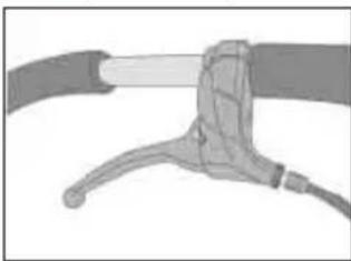 Teutonia Bliss - Saregenheder pa modeltyperne - 1