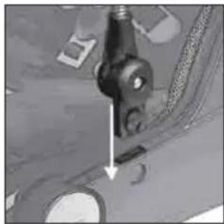 Teutonia Bliss - Jalkatuen saatäminen - 2