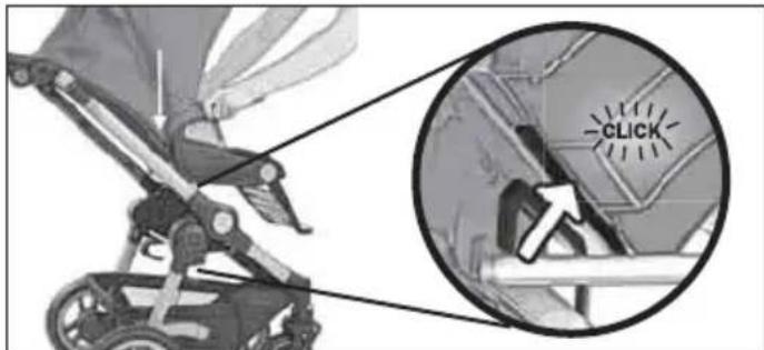 Teutonia Bliss - Aufsetzen und Abnehmen der Sitzeinheit - 1