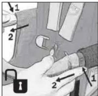 Teutonia Bliss - Madlo - 2