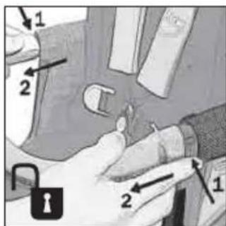 Teutonia Bliss - Aizsargstienis - 2