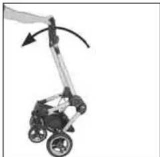 Teutonia Bliss - Madlo - 9