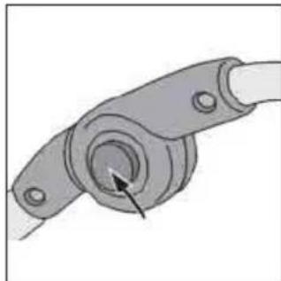 Teutonia Bliss - Madlo - 6