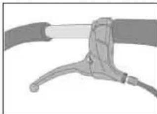 Teutonia Bliss - Modellvarianternas specialegenskaper - 1