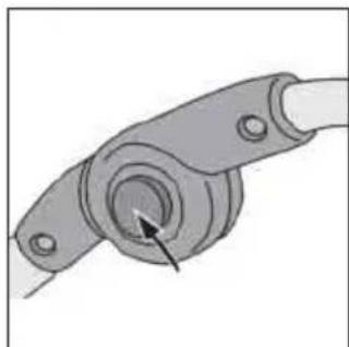 Teutonia Bliss - PerynpoBka noDCTaBKn Jn Hor - 10