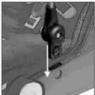 Teutonia Bliss - Upevnenie slnechnika - 1