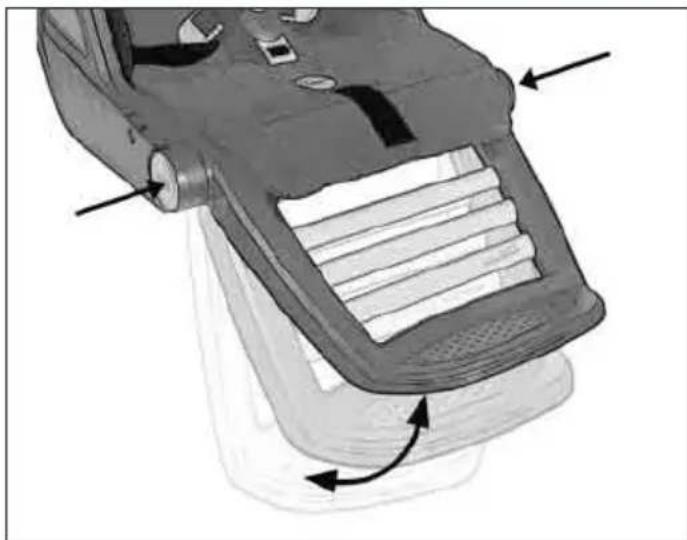 Teutonia Bliss - Kaju balsta regulešana - 1