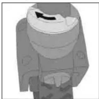 Teutonia Bliss - Nobopothoe konleco - 1