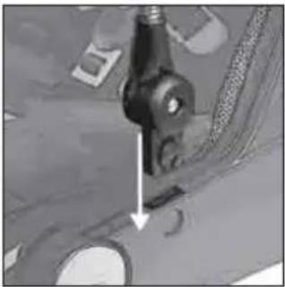 Teutonia Bliss - Sailessarga nostiprinašana - 1