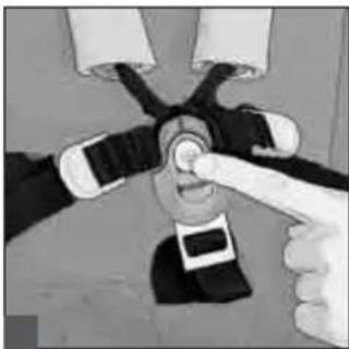 Teutonia Bliss - Handhabung des 5-Punkt-Gurts - 2