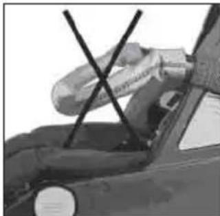 Teutonia Bliss - Schutzbügel - 3