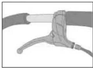Teutonia Bliss - Specyfika variantów modeli - 1