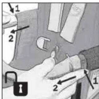 Teutonia Bliss - Skyddsbgel - 2