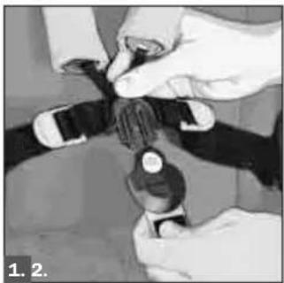 Teutonia Bliss - Démontage - 1