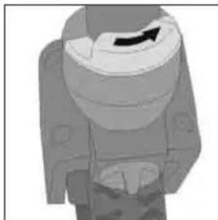 Teutonia Bliss - Kaantopyora - 2