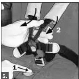 Teutonia Bliss - Kaju balsta regulešana - 2