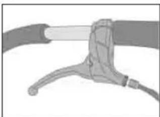 Teutonia Bliss - Špecialne funkcie variantov modelov - 1
