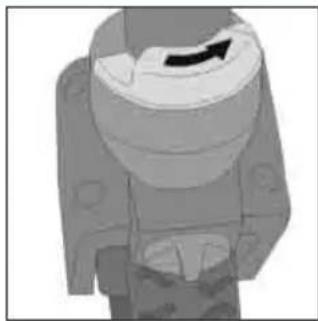 Teutonia Bliss - Kolo skretne - 2