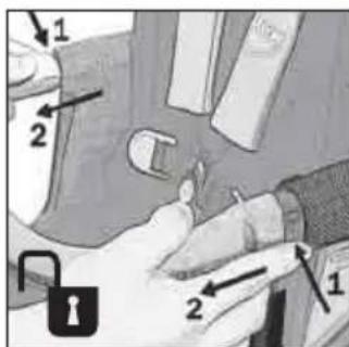 Teutonia Bliss - 3aunTHa dyra - 2