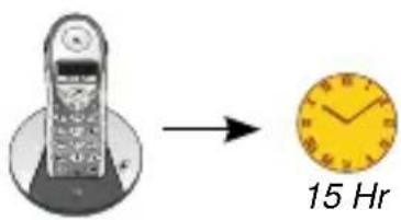 PROFOON IP320 - GEBRUIKSGEREED: - 1