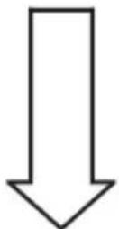 PROFOON IP10 - COMMENT AGIR : - 2