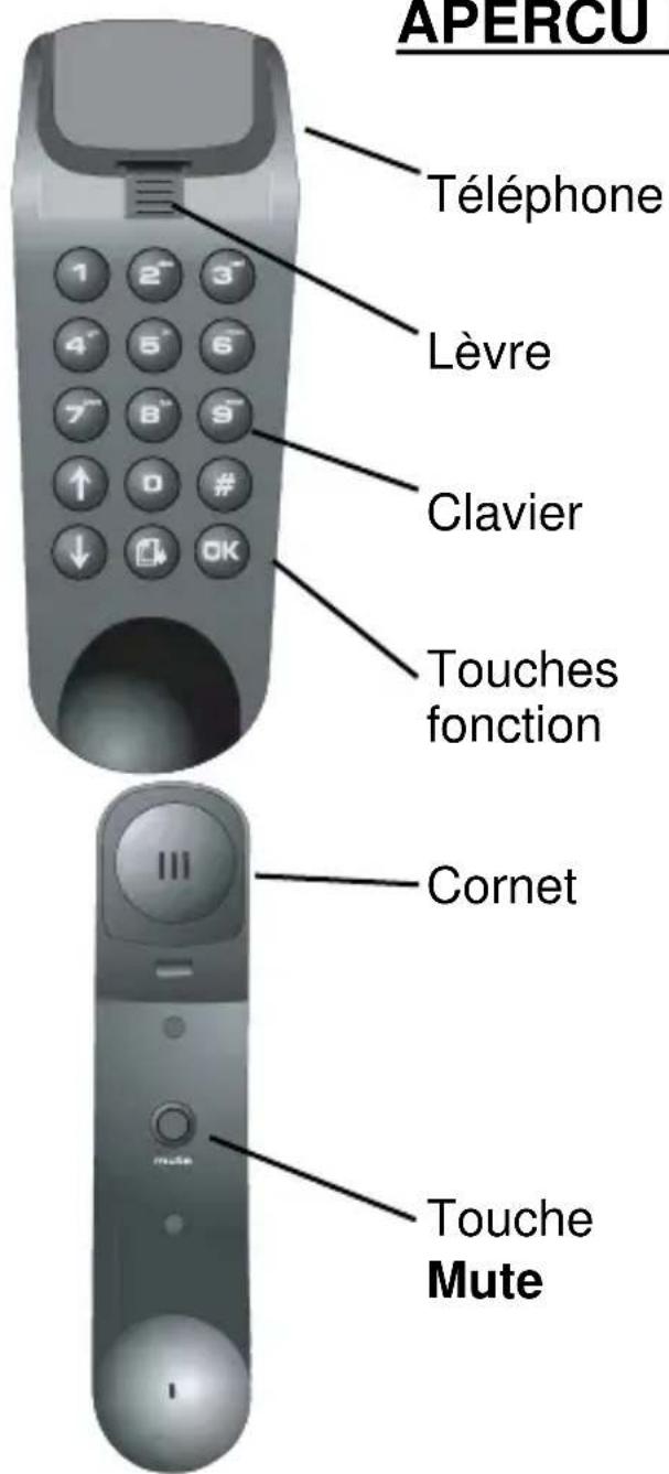 PROFOON IP10 - APERCU DU TELEPHONE - 1