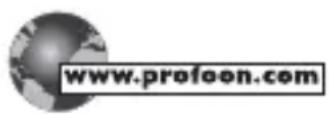 PROFOON DTX106 - VERKLARING VAN CONFORMITEIT - 1