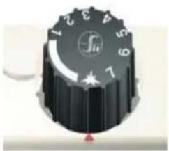 Well Straler A84MIL - Allumage - 3