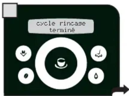 GAGGIA Platinum Swing Up - PENDANT CETTE OPÉRATION, LA PRESENCE D'UNE PERSONNE EST NÉCESSAIRE. ATTENTION! NE JAMAIS UTILISER DE VINAIGRE POUR DÉTARTRER LA MACHINE. - 15