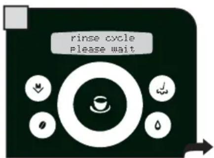 GAGGIA Platinum Swing Up - SETTING THE LANGUAGE - 6