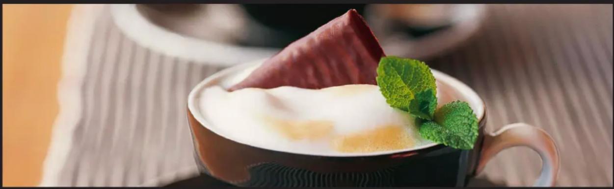 Turmix Maestria TX 300 - GoURmet ReCIPeS/ leS ReCetteS GoURmet - 1