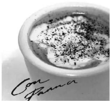 Solis Barista Pro 114 - CON PANNA - 3