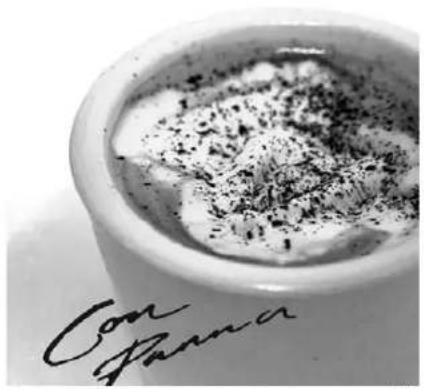 Solis Barista Pro 114 - CON PANNA - 3