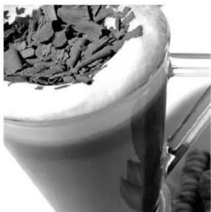 Solis Barista Pro 114 - CON PANNA - 1