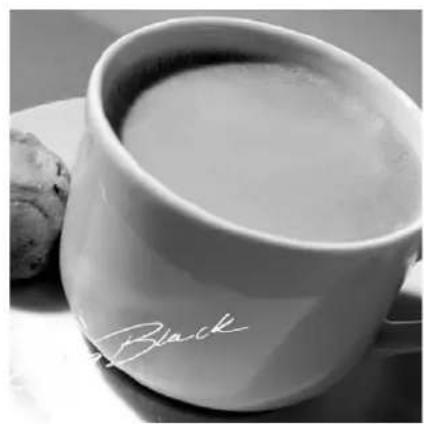 Solis Barista Pro 114 - CAFÉ Creme - 2