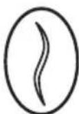 Lelit Mara PL62T - Arabica - 1