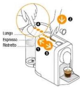 Turmix Nespresso Prodigio - Regular Coffee Preparation Préparation du café - 5