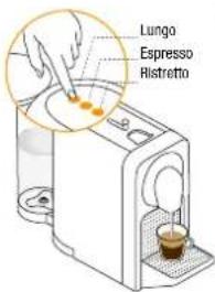 Turmix Nespresso Prodigio - Regular Coffee Preparation /Préparation du café - 4
