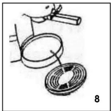 TEAM EXP 6 S - GR - 8