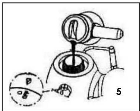 TEAM EXP 6 S - GR - 5