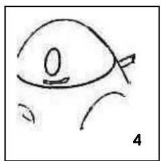 TEAM EXP 6 S - GR - 4