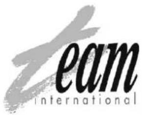 TEAM KM 29 T - TEAM KM 29 T - 1