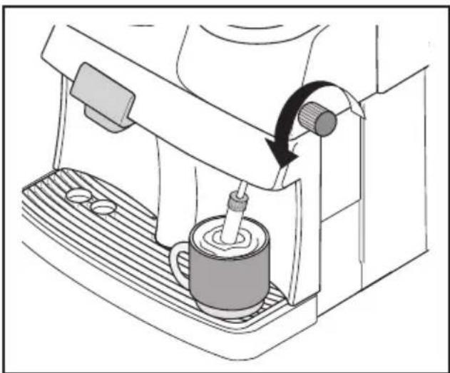 SPIDEM Trevi Automatica - Vapeur/Cappuccino avec le pannarello - 1