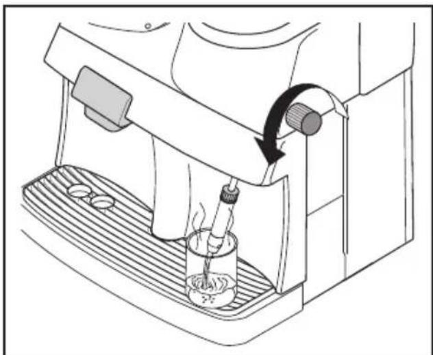 SPIDEM Trevi Automatica - Hot water with the pannarello - 1