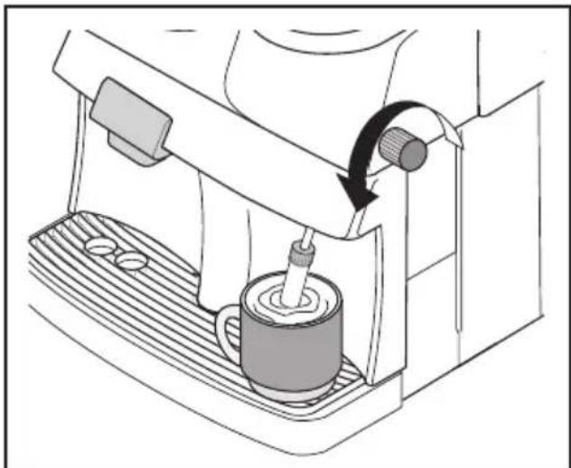 SPIDEM Trevi Automatica - Steam/Cappuccino with the pannarello - 1