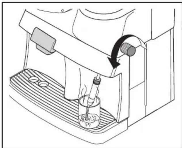 SPIDEM Trevi Automatica - Heet water met de pannarello - 1