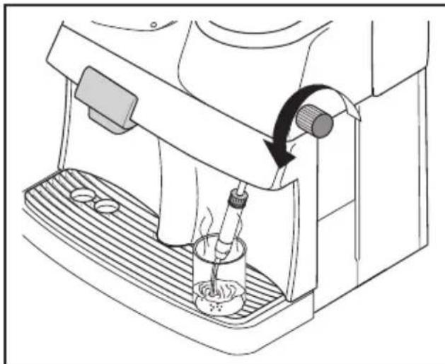 SPIDEM Trevi Automatica - Água quente com o pannarello - 1