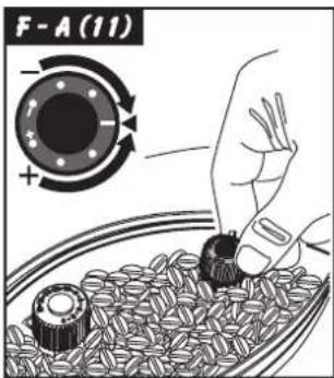 F-A(11)